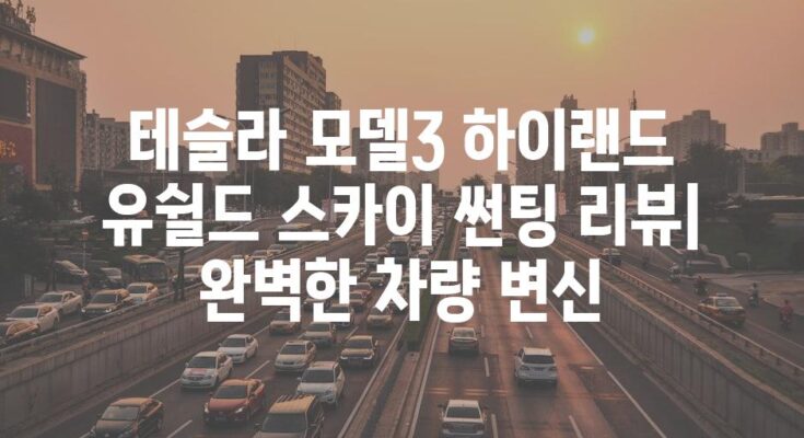 테슬라 모델3 하이랜드 유쉴드 스카이 썬팅 리뷰| 완벽한 차량 변신