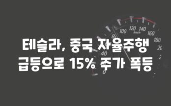 테슬라, 중국 자율주행 급등으로 15% 주가 폭등