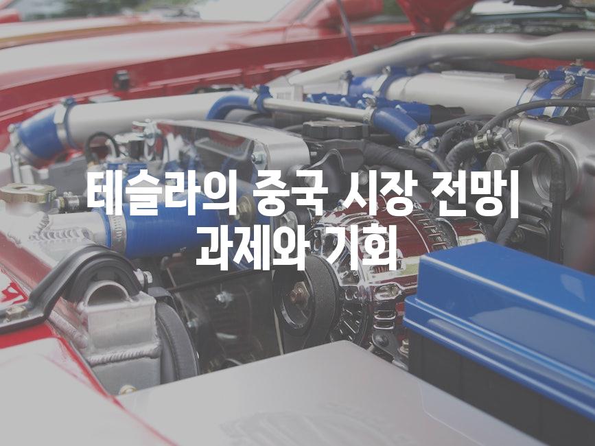  테슬라의 중국 시장 전망| 과제와 기회