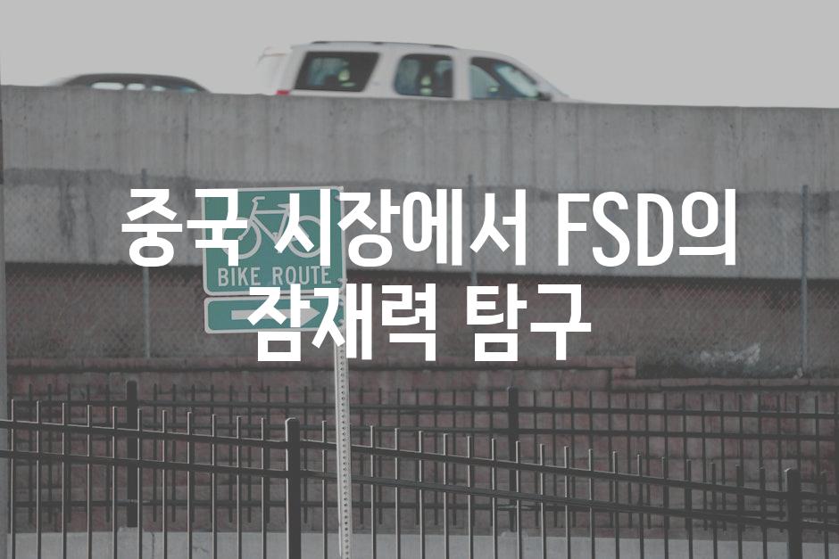  중국 시장에서 FSD의 잠재력 탐구