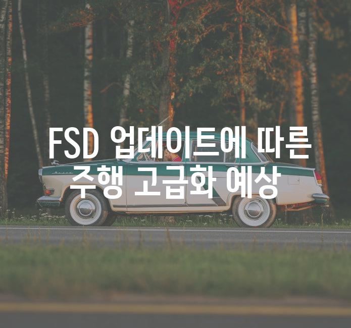  FSD 업데이트에 따른 주행 고급화 예상