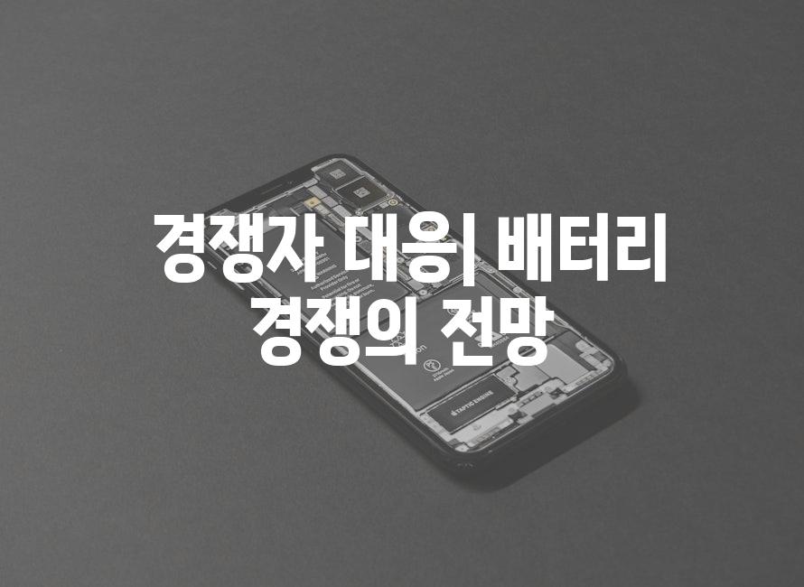  경쟁자 대응| 배터리 경쟁의 전망