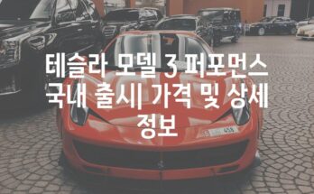 테슬라 모델 3 퍼포먼스 국내 출시| 가격 및 상세 정보