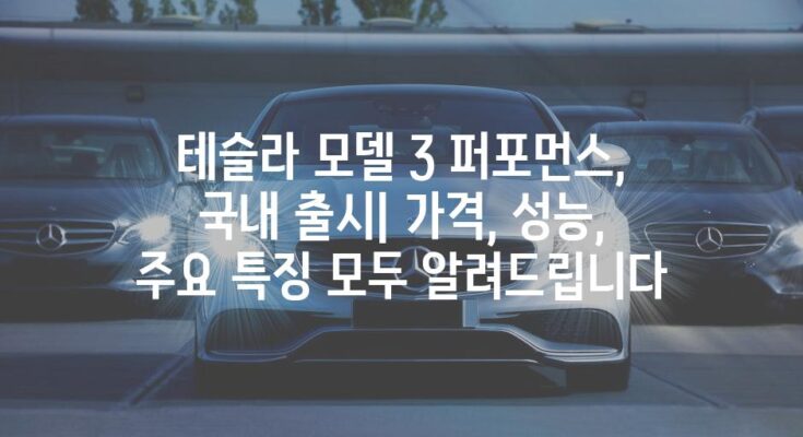 테슬라 모델 3 퍼포먼스, 국내 출시| 가격, 성능, 주요 특징 모두 알려드립니다