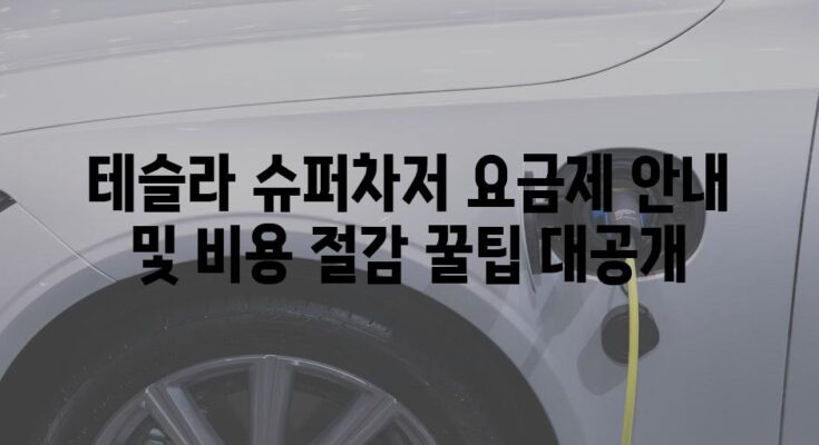 테슬라 슈퍼차저 요금제 안내 및 비용 절감 꿀팁 대공개