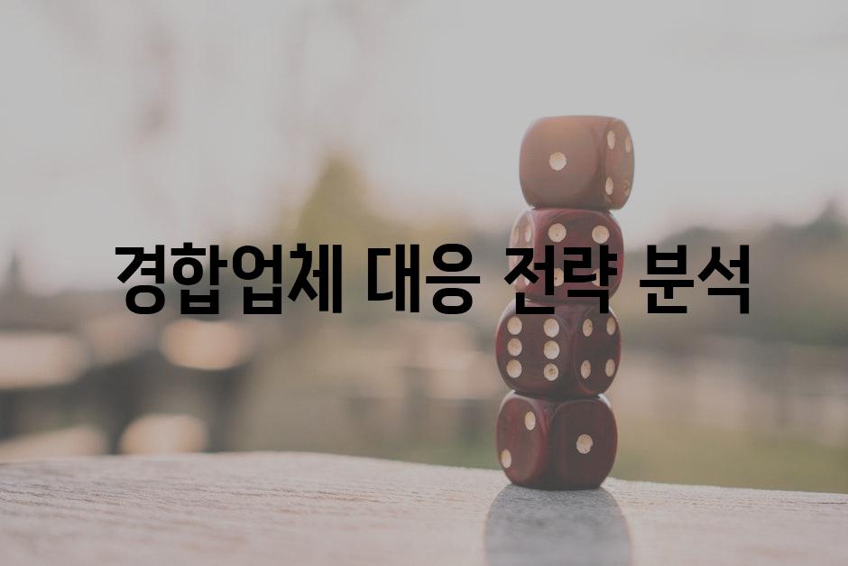  경합업체 대응 전략 분석