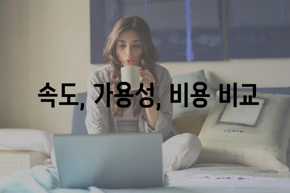  속도, 가용성, 비용 비교