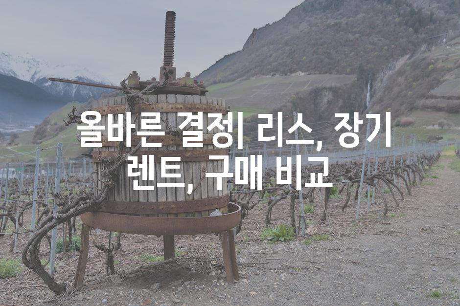  올바른 결정| 리스, 장기 렌트, 구매 비교