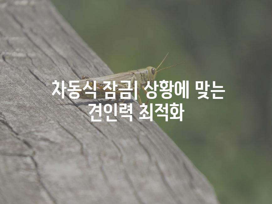  차동식 잠금| 상황에 맞는 견인력 최적화