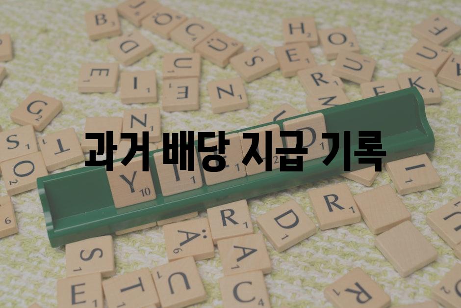  과거 배당 지급 기록