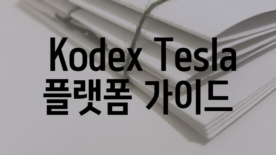  Kodex Tesla 플랫폼 가이드