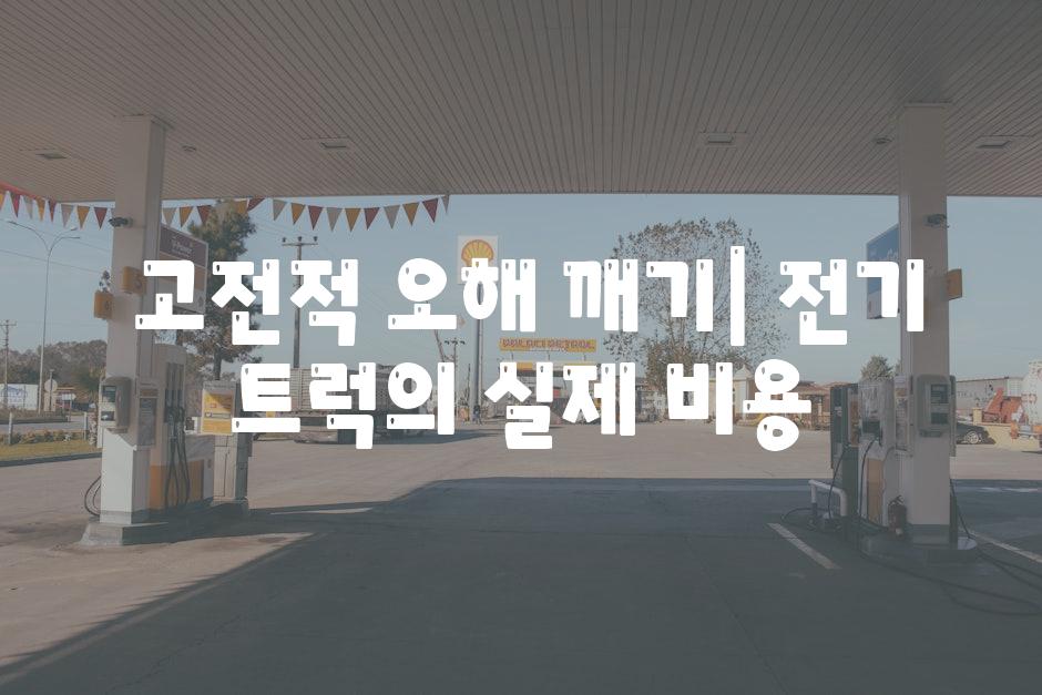  고전적 오해 깨기| 전기 트럭의 실제 비용