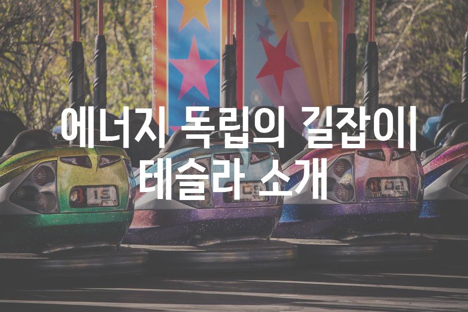  에너지 독립의 길잡이| 테슬라 소개