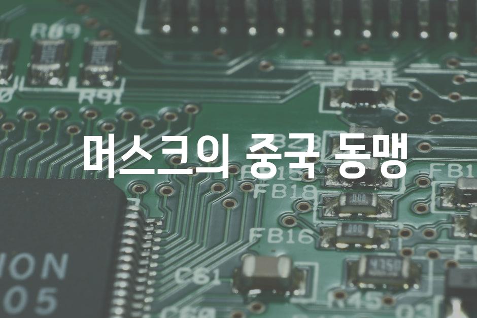  머스크의 중국 동맹