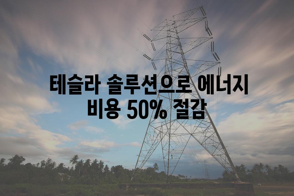  테슬라 솔루션으로 에너지 비용 50% 절감