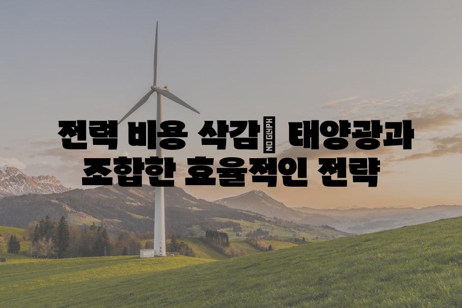  전력 비용 삭감| 태양광과 조합한 효율적인 전략