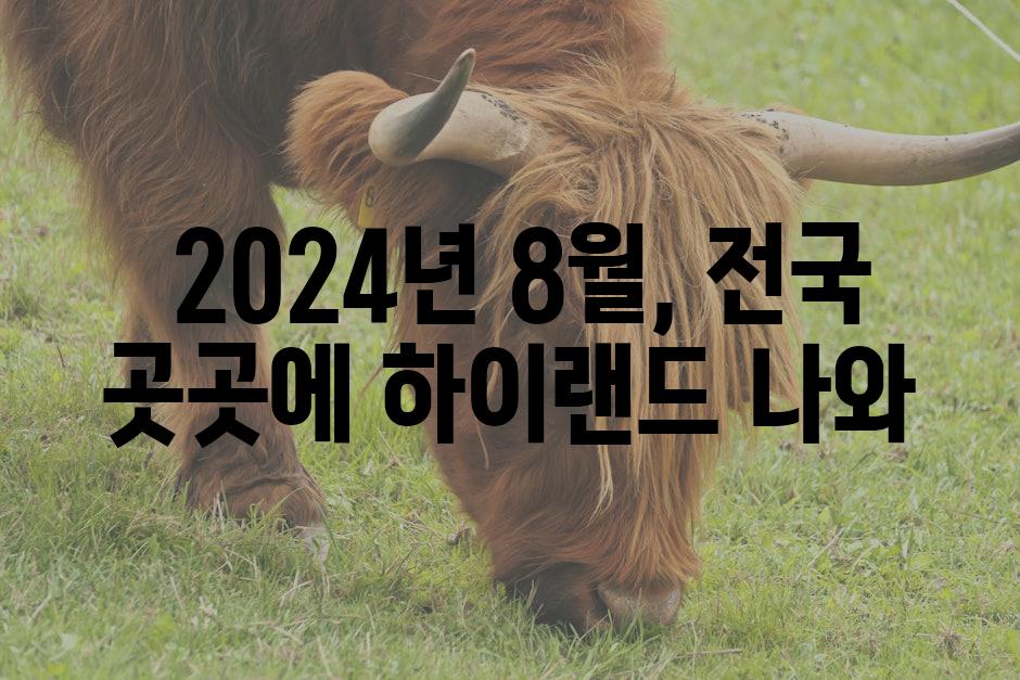  2024년 8월, 전국 곳곳에 하이랜드 나와