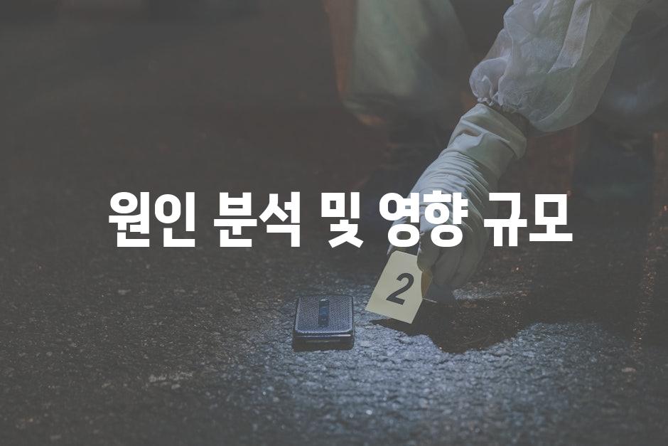  원인 분석 및 영향 규모