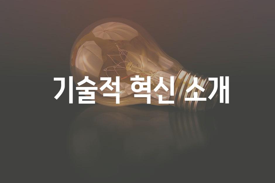  기술적 혁신 소개