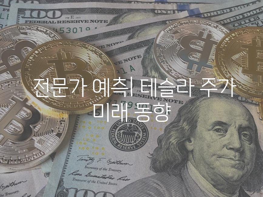  전문가 예측| 테슬라 주가 미래 동향