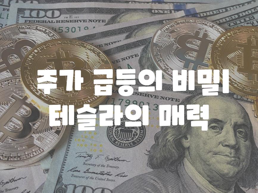  주가 급등의 비밀| 테슬라의 매력