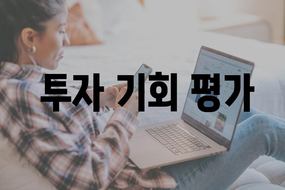  투자 기회 평가