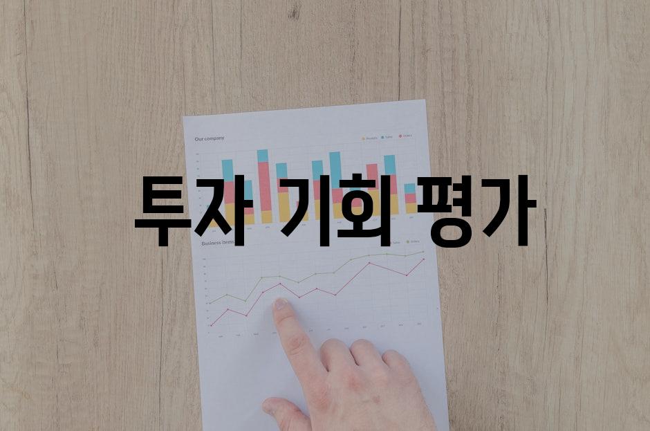  투자 기회 평가