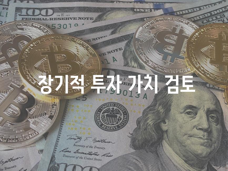  장기적 투자 가치 검토