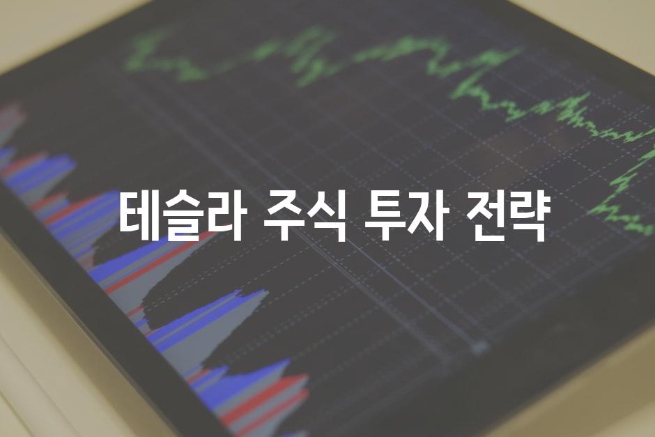  테슬라 주식 투자 전략