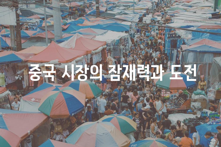  중국 시장의 잠재력과 도전