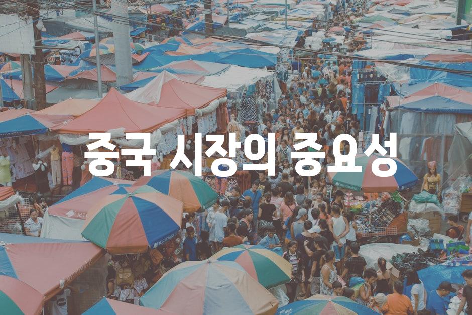  중국 시장의 중요성