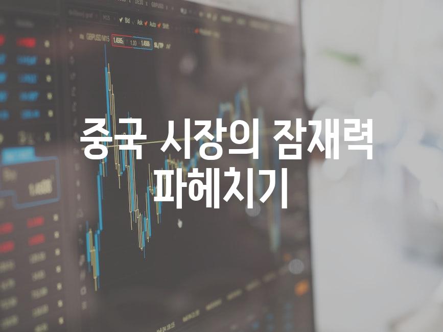  중국 시장의 잠재력 파헤치기