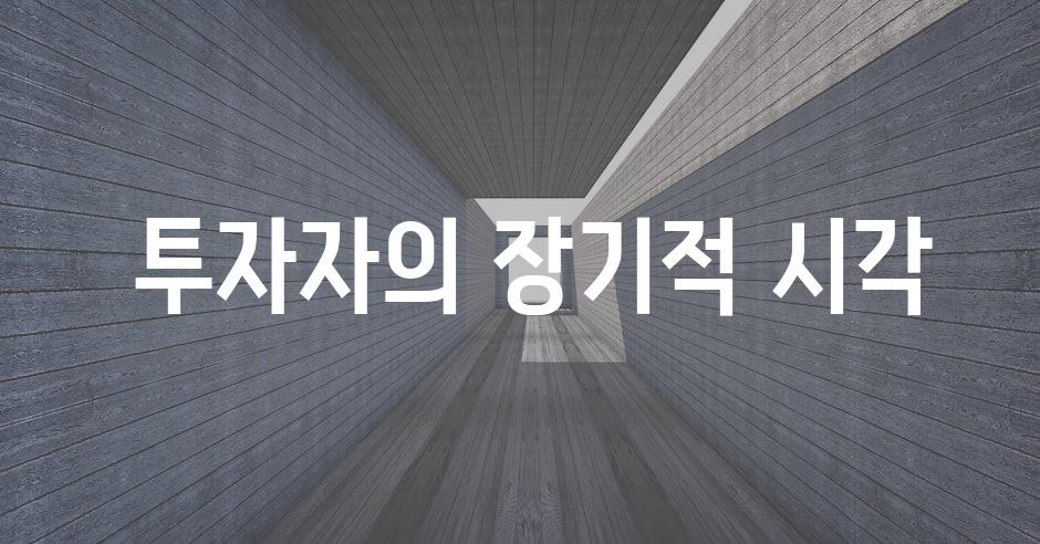  투자자의 장기적 시각