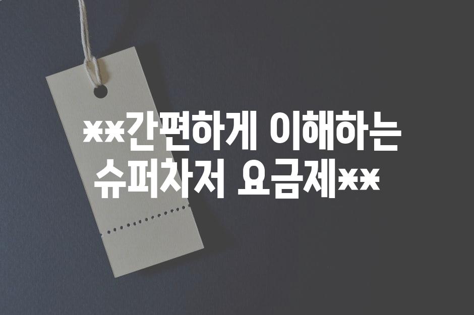  **간편하게 이해하는 슈퍼차저 요금제**