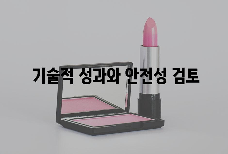  기술적 성과와 안전성 검토