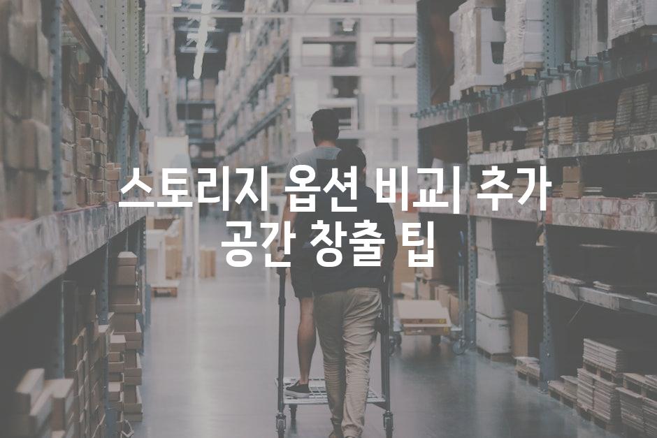  스토리지 옵션 비교| 추가 공간 창출 팁