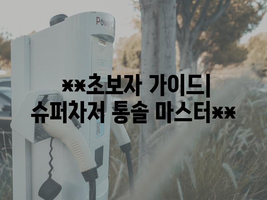  **초보자 가이드| 슈퍼차저 통솔 마스터**