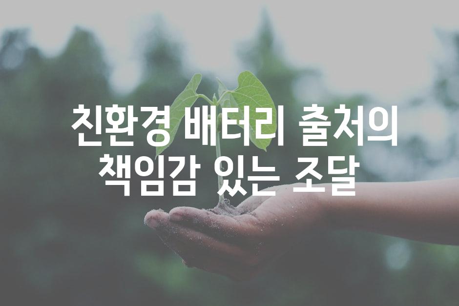  친환경 배터리 출처의 책임감 있는 조달