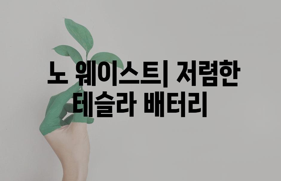  노 웨이스트| 저렴한 테슬라 배터리