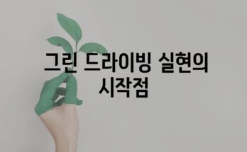 분당 하이랜드 스토어에서 보는 테슬라 모델 3