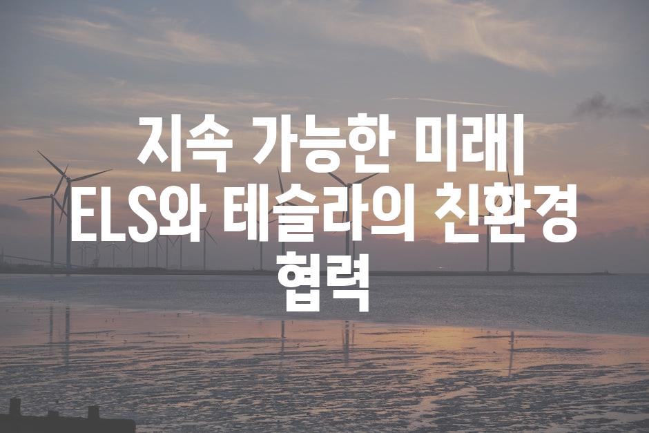  지속 가능한 미래| ELS와 테슬라의 친환경 협력