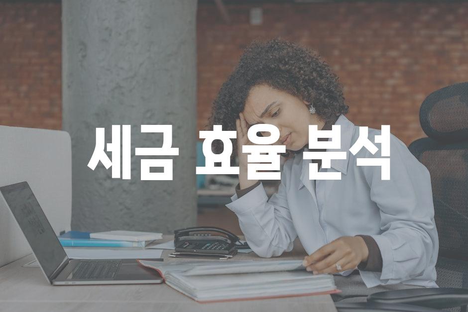  세금 효율 분석