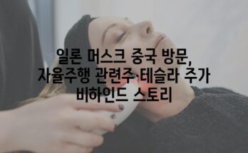 일론 머스크 중국 방문, 자율주행 관련주·테슬라 주가 비하인드 스토리