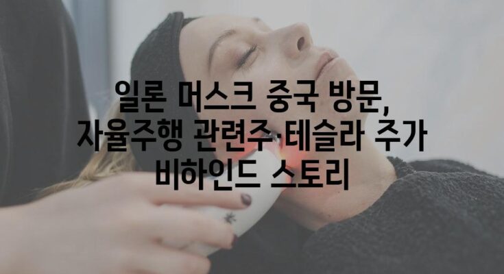 일론 머스크 중국 방문, 자율주행 관련주·테슬라 주가 비하인드 스토리