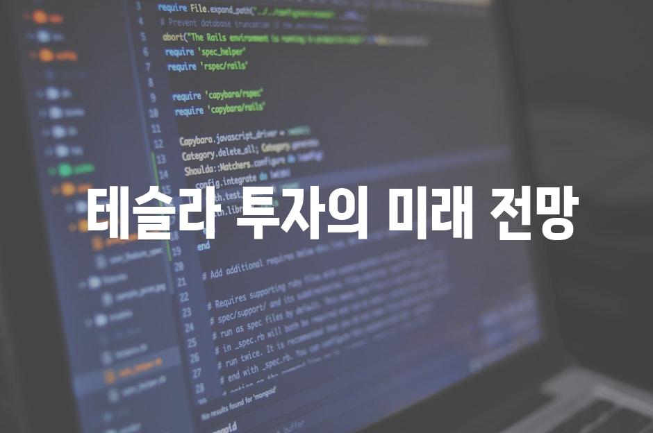  테슬라 투자의 미래 전망