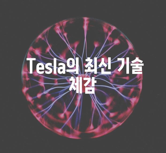  Tesla의 최신 기술 체감