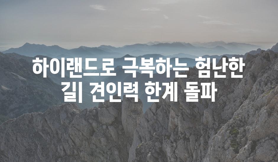 이미지_설명