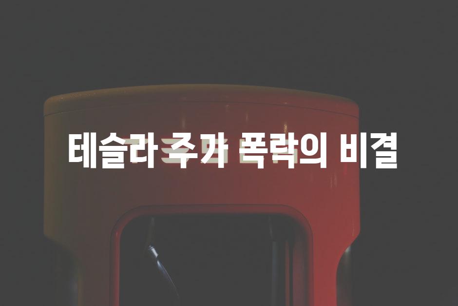  테슬라 주가 폭락의 비결