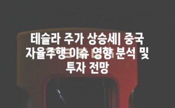 테슬라 주가 상승세| 중국 자율주행 이슈 영향 분석 및 투자 전망