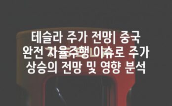 테슬라 주가 전망| 중국 완전 자율주행 이슈로 주가 상승의 전망 및 영향 분석